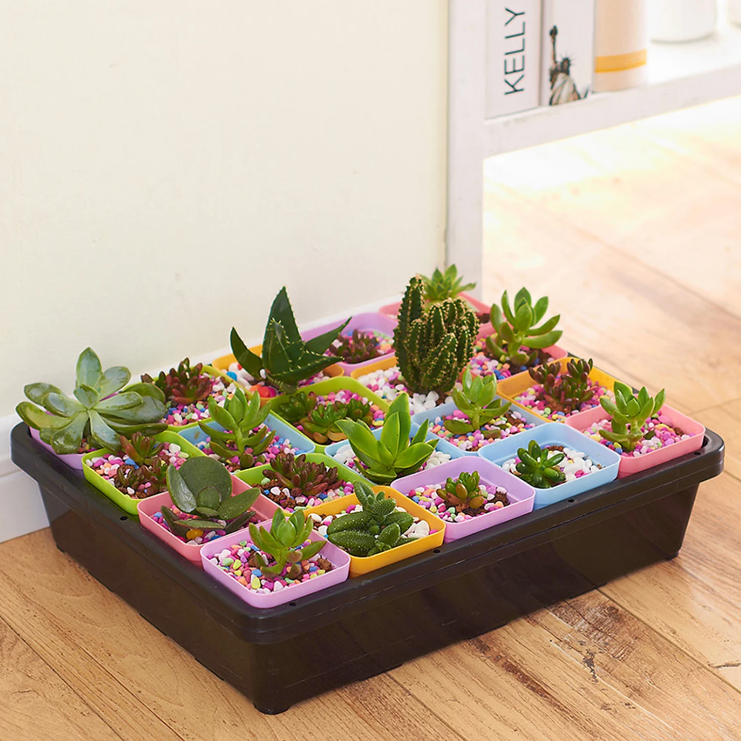 Многоразовые пластиковые садовые саженцы для выращивания растений 37x30x7 5