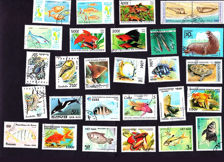 20 шт./лот морские животные рыба ракушки штампы все разные из многих стран не