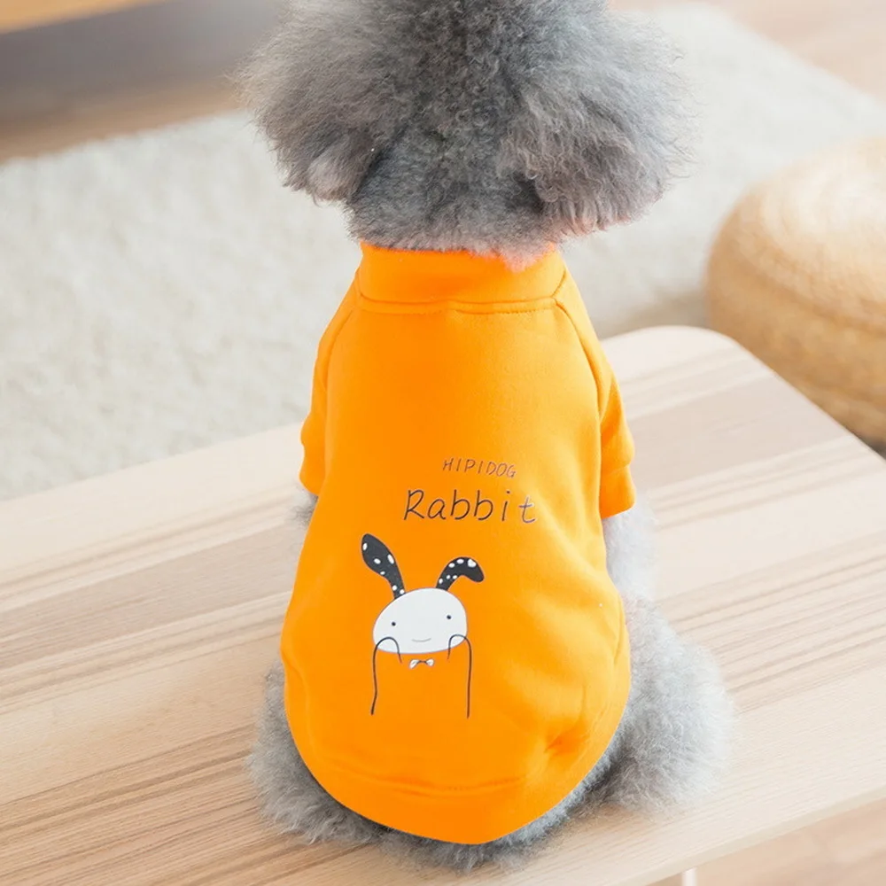 Домашние животные Щенок новый мультфильм шаблон прекрасные одежды собаки Тедди