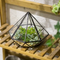 indoor balcony display planter decorative flower pot garden tabletop diamond glass geometric terrarium for succulents plants diy