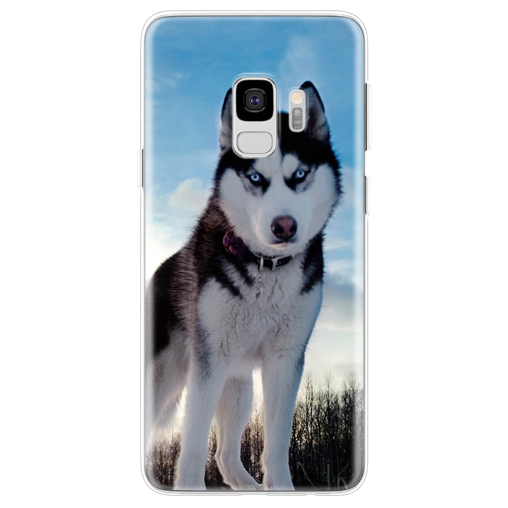 hashiqi Чехлы для samsung Galaxy S3 S4 S5 Mini S6 S7 Edge S8 S9 S10 Lite Grand Core Prime Neo Plus Xcover 4 чехол для samsung S10 чехол - Цвет: hashiqi