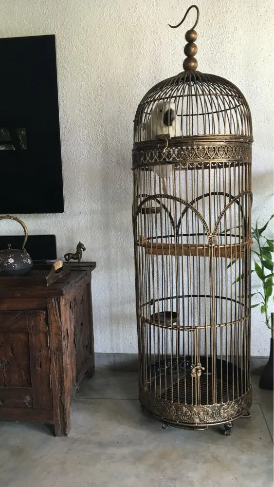 Посадки птичья клетка мебель Кованое железо висячая Птица гнездо|cage and aviary birds for