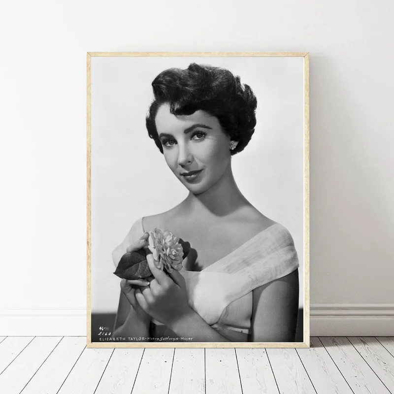 Художественный шелковый постер Elizabeth Taylor для домашнего декора 45х60см|Рисование и