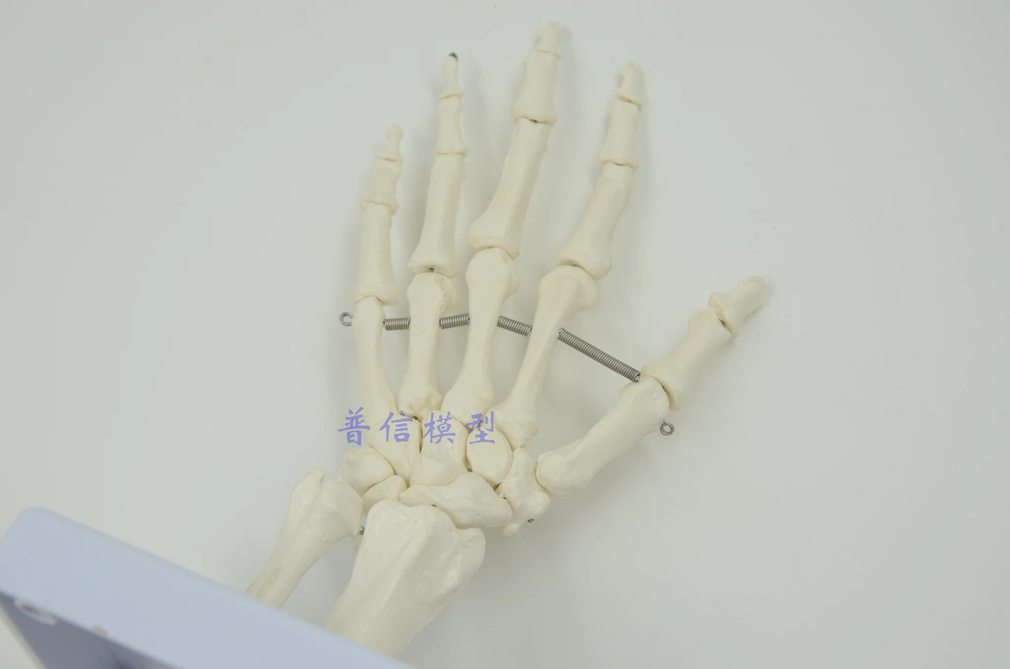 Hand Joint Model Wrist Medical Treatment Ligament Bone School Hospital Educational Supplies | Канцтовары для офиса и дома