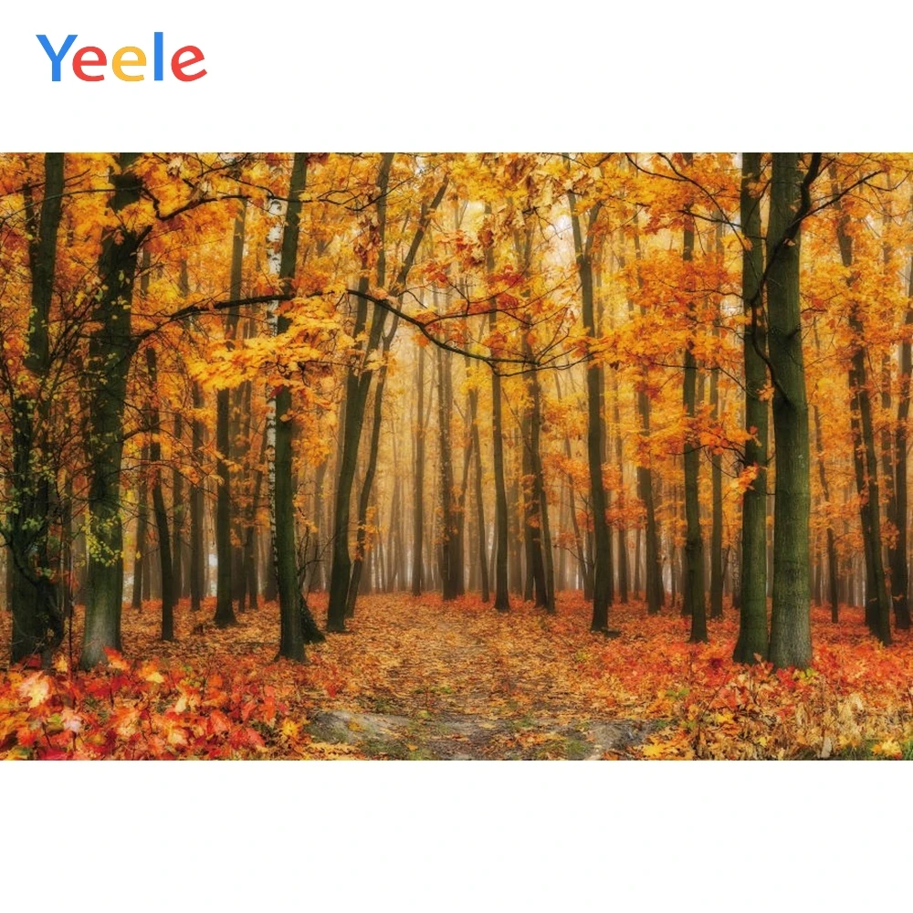 

Yeele Autumn Forest Maple Leaves Tree Nature Scene Baby Photo Backgrounds Custom Vinyl Photography Backdrops For Photo Studio