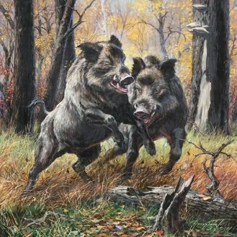 5D алмазная вышивка сделай сам животное дикий кабан живопись крестиком