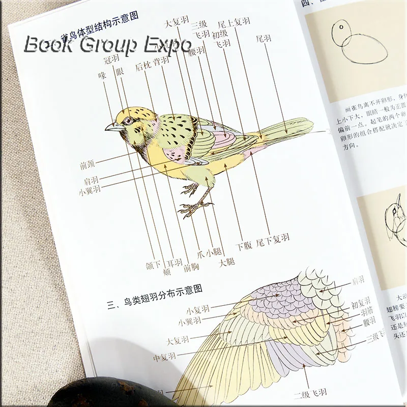 Книга китайской живописи животных Птица книга изготовитель gongbi написано ли