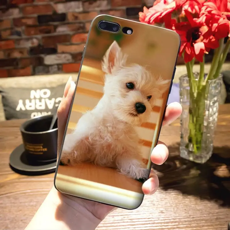 Мягкий ТПУ чехол для телефона MaiYaCa West Highland White Terrier dog с рисунком iPhone 8 7 6 6S Plus X 5S 12pro SE