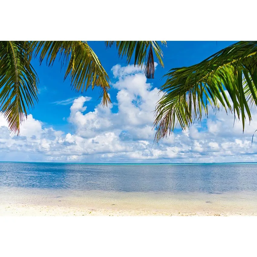 Summer Sea Beach Ocen Palm Tree blue sky backdrops Vinyl cloth High quality Computer print party photography backgrounds | Электроника
