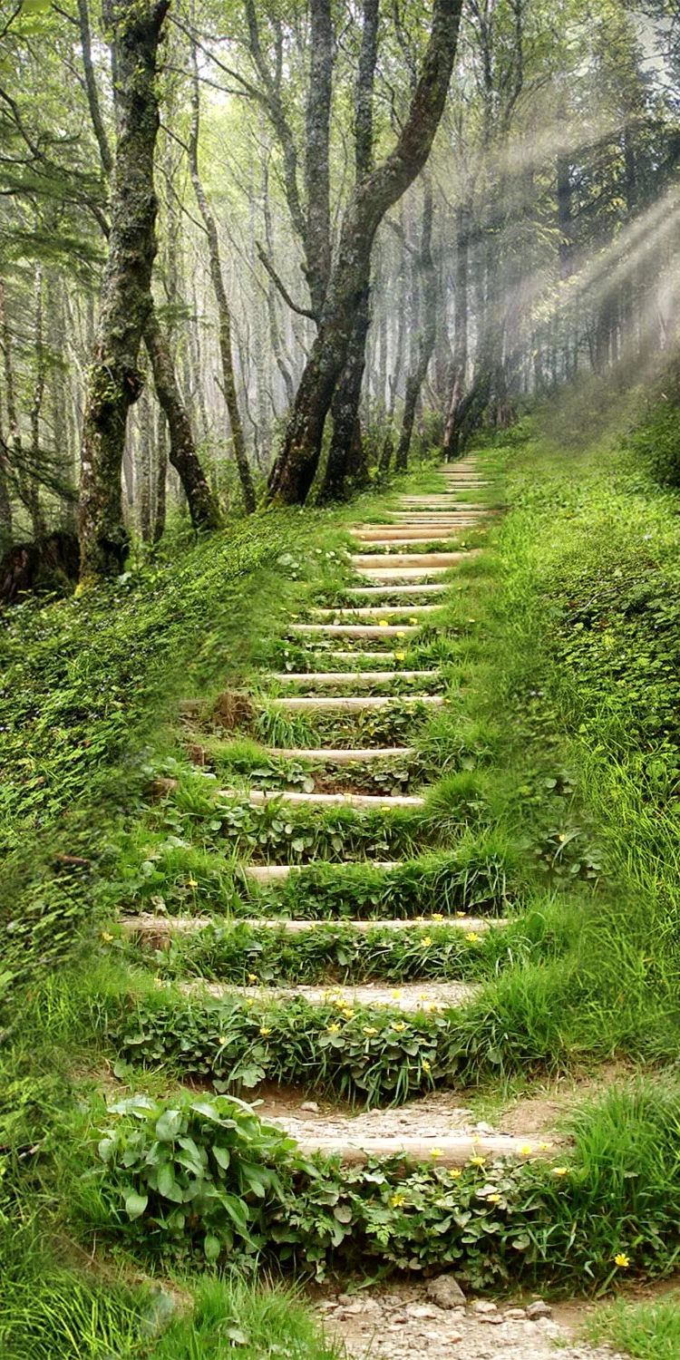 Затемняющие шторы с рисунком лесных ступеней 3d занавески для гостиной спальни