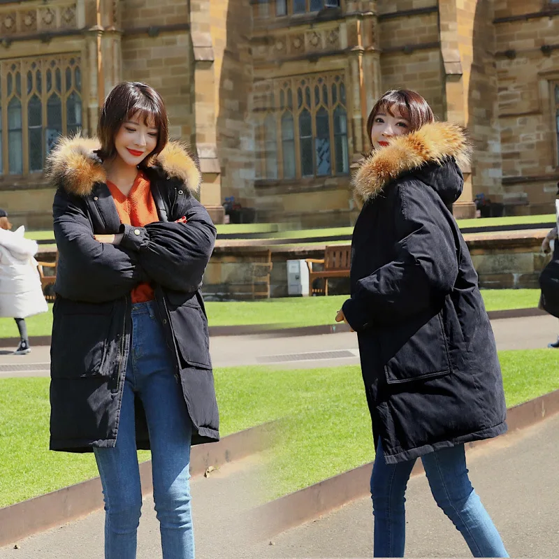 Женская куртка большого размера длинная для студентов зимняя 8819 2019 | одежда