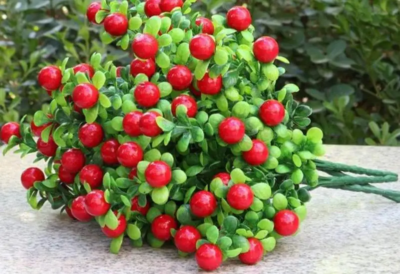 Искусственные фрукты 5 вилок Фортуна маленький красный фруктовый букет Eugene