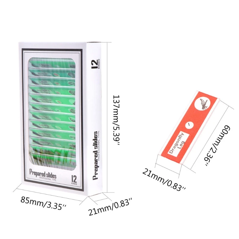12 шт./компл. слайды подготовленные для микроскопа набор образцов студентов