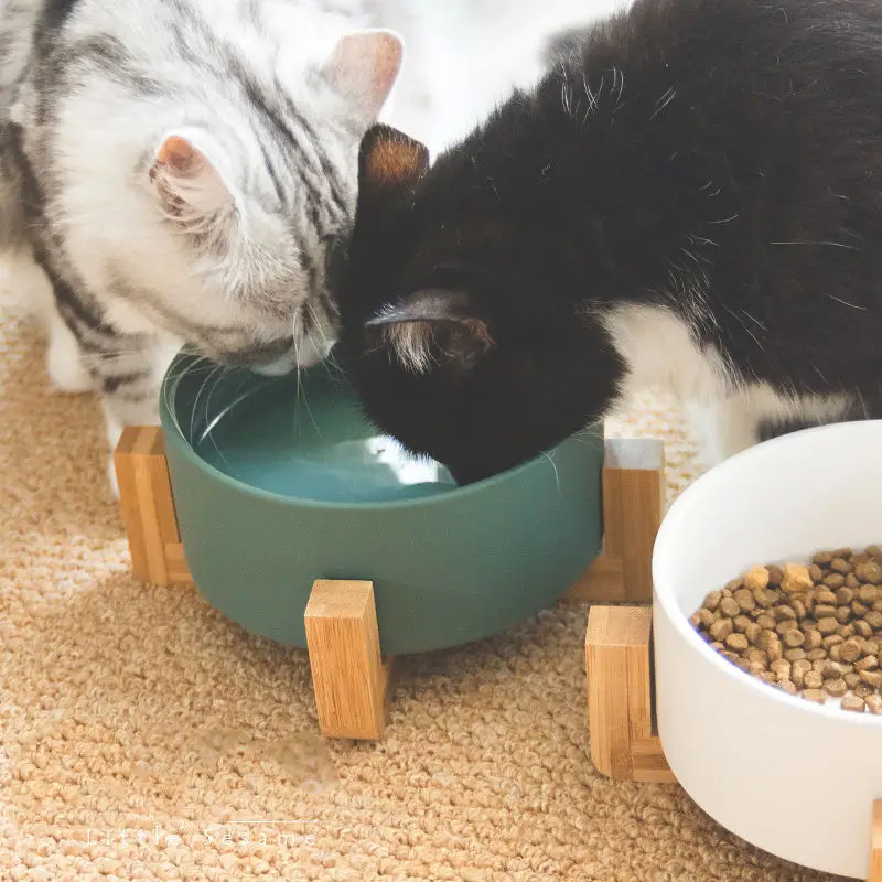 SMARTPET собака Кошачьи миски защиты питомца Pervical позвонка округлые сплошной