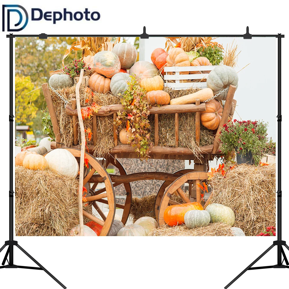 Dephoto Осенний урожай тыквы стог сена фон для фотосъемки ребенка с Днем