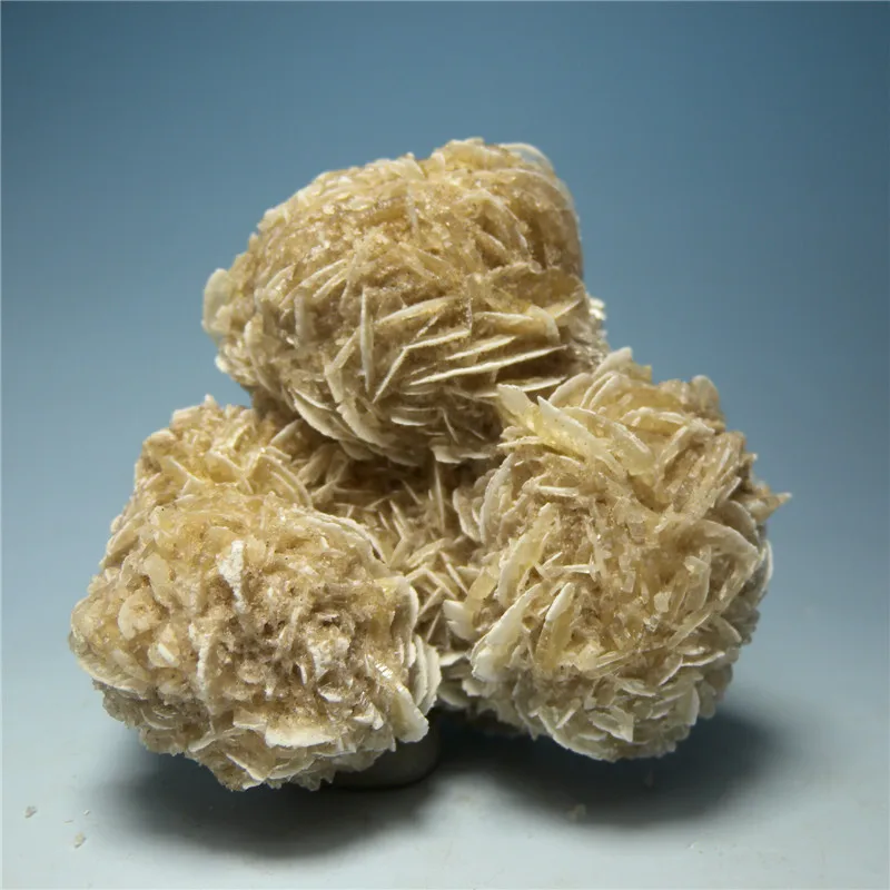 Mexico desert rose stone natural mineral mineral ore standard collection of ornaments of the original stone-free processing