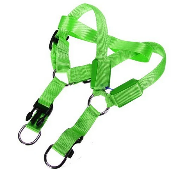 Pet Leash Rope Belt LED Flashing Dog Harness Safety Lead Blinking Light Nylon Green | Дом и сад