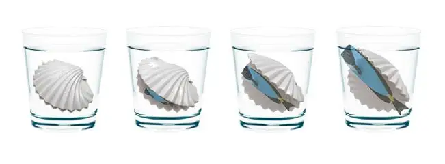 5 шт./партия, детский подарок, пузырьковая вода, отек, моллюски, игрушки, пропитанные морскими животными, гребешок, игрушки, пропитанные сломанной раковиной, LYQ