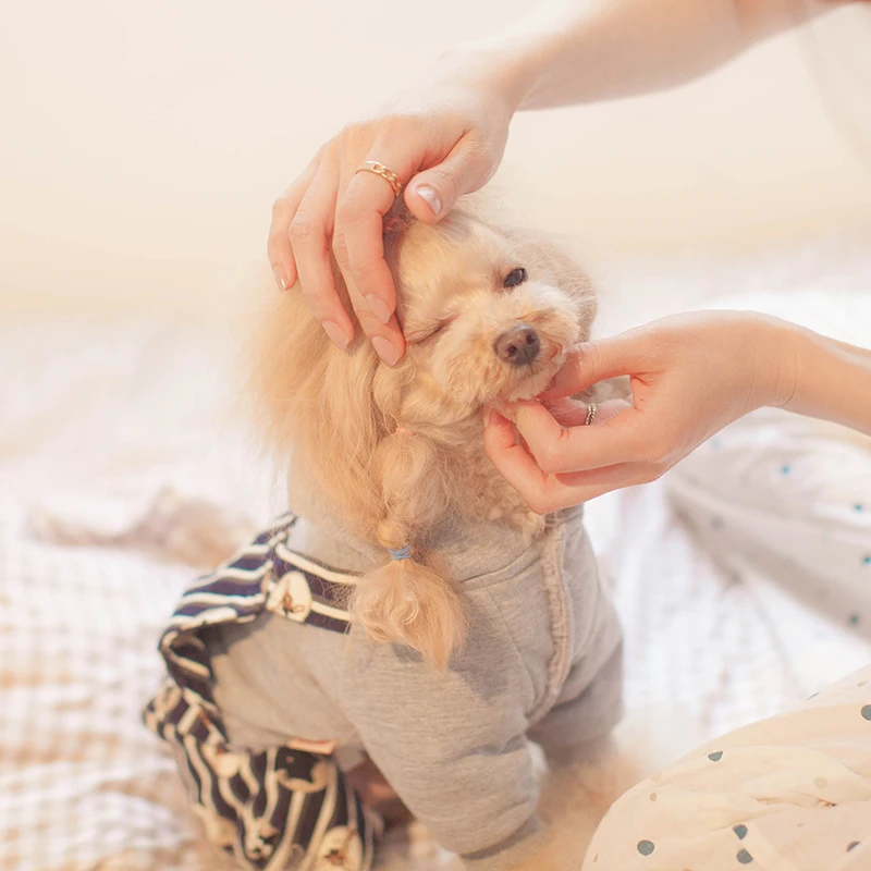 HOOPET Собака Комбинезон Пальто и пуховики в полоску Подтяжки для женщин одежда на