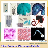 15pcs prepared microscope slide set