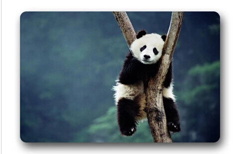 Free Ship 2015 Home Decoration Custom Doormats Bedroom Cushion Lovely Panda Sit on the Tree Carpets Bathroom Rugs #DM-417 | Дом и сад