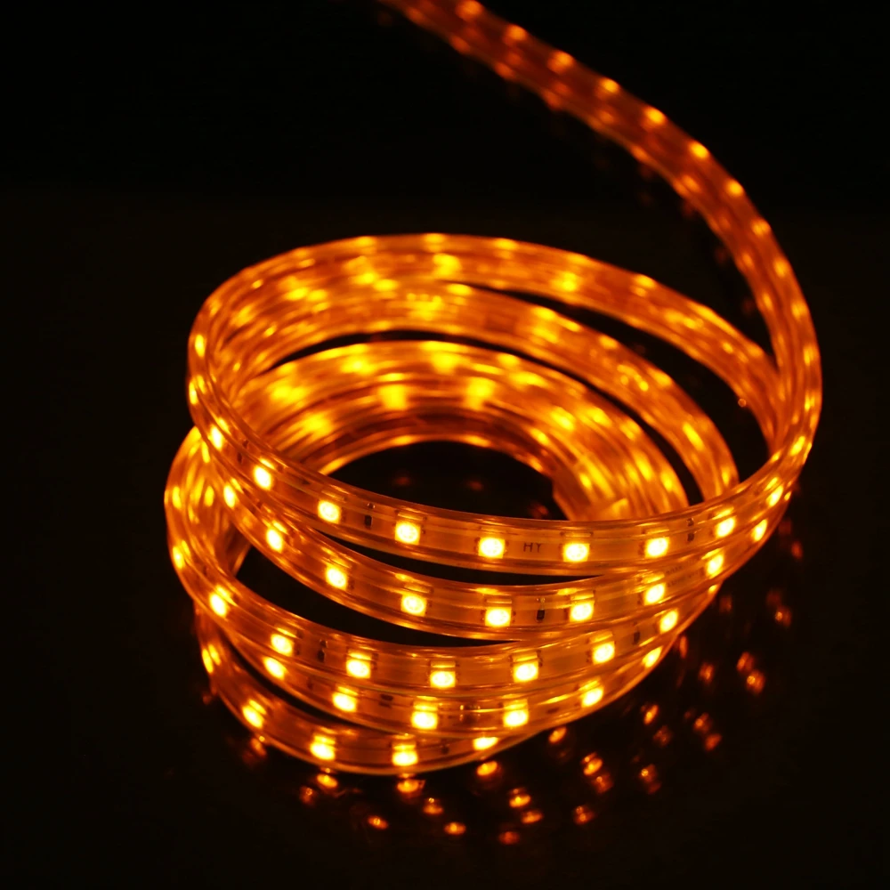 Лента светодиодная RGB SMD 220 60 светодисветодиодный Дов 10 мм ширина 1 м 5 20 50 240 м|led strip