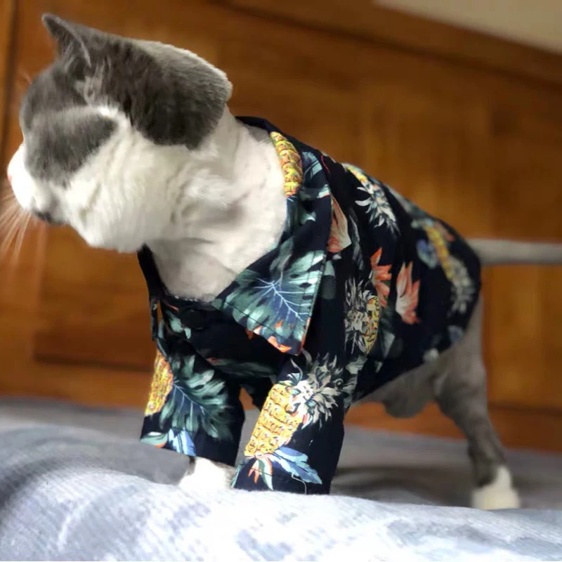 Модные Одежда для домашних животных, котов для товары кошек весна/Лето Щенок собака кошка жилет футболка Kitty рубашки с изображением котенка наряды Pet костюмы
