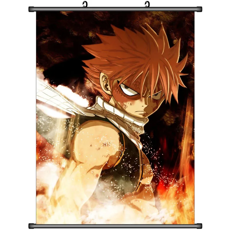Японские декоративные картины аниме Фея хвост серый Fullbuster &amp Natsu Dragneel Heart filia
