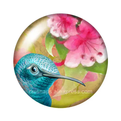 New Beauty Lively Hummingbirds Birds 10pcs mix 12mm/18mm/20mm/25mm Round photo demo glass cabochon flat back Making findings | Украшения и