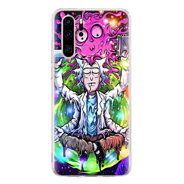 02 Силиконовый мягкий чехол для телефона Rick and marty pickle rick s для huawei P30 P20 Pro P10 P20 Lite mate 20 10 Pro P Smart Plus чехол - Цвет: 02