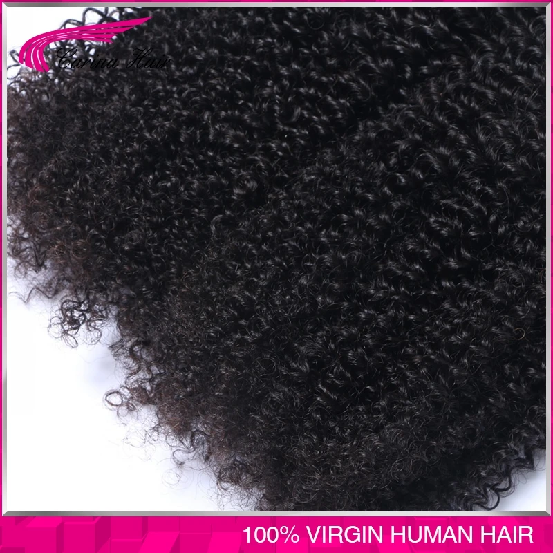 Малайзии девы волос с закрытием 4 связки малайзии вьющихся странный вьющиеся