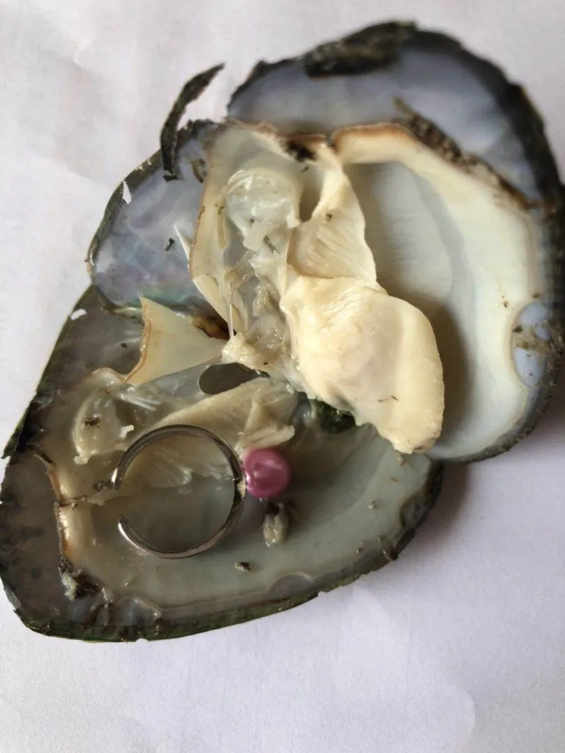 Новейшая модель Fortune пресной воды устрицы со случайными из стерлингового серебра