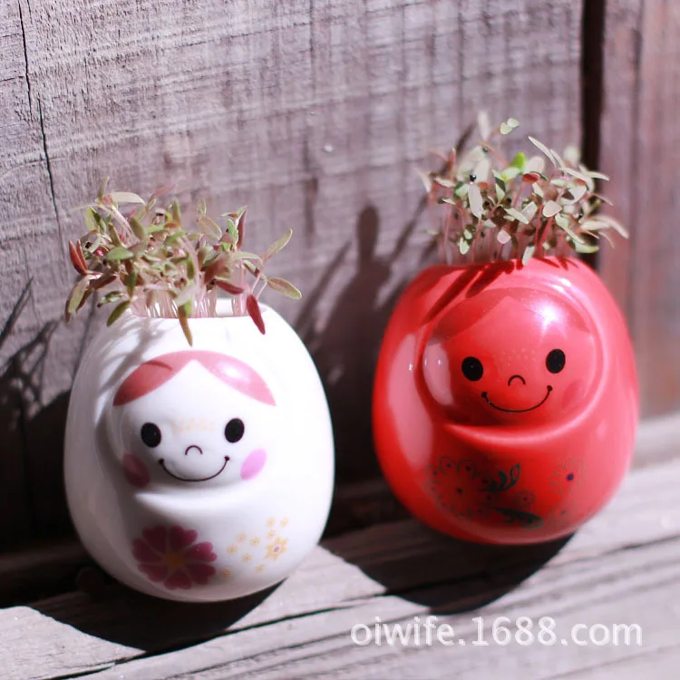 Сделай Сам офис мини-бассейна передача любовь эльф Крытый зеленый суккуленты в