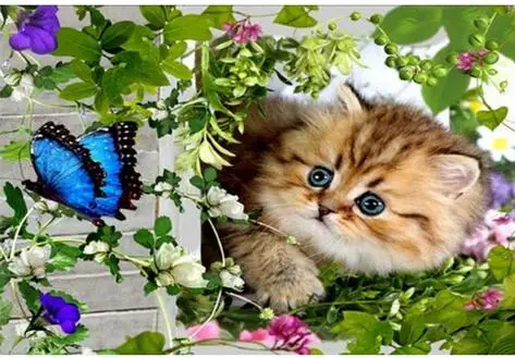 diamond embroidery cat 5d painting full mosaic 3d picture of rhinestones cross-stitch | Дом и сад