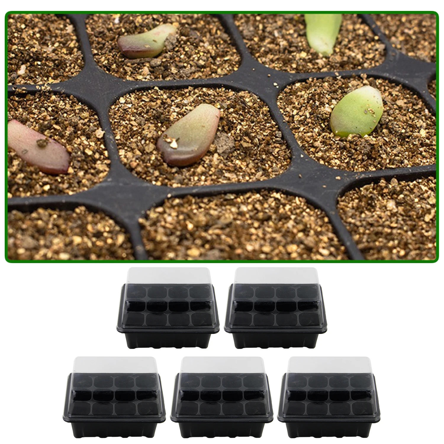 Behogar 5 упаковок профессиональные 12 отверстий лоток для семян полость вставка
