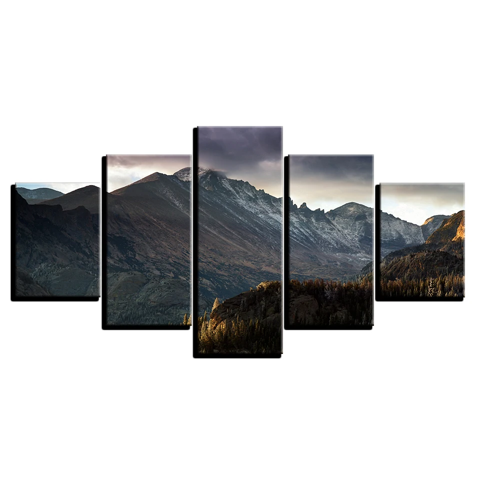 Картина на холсте домашний декор настенная живопись для гостиной 5 шт.