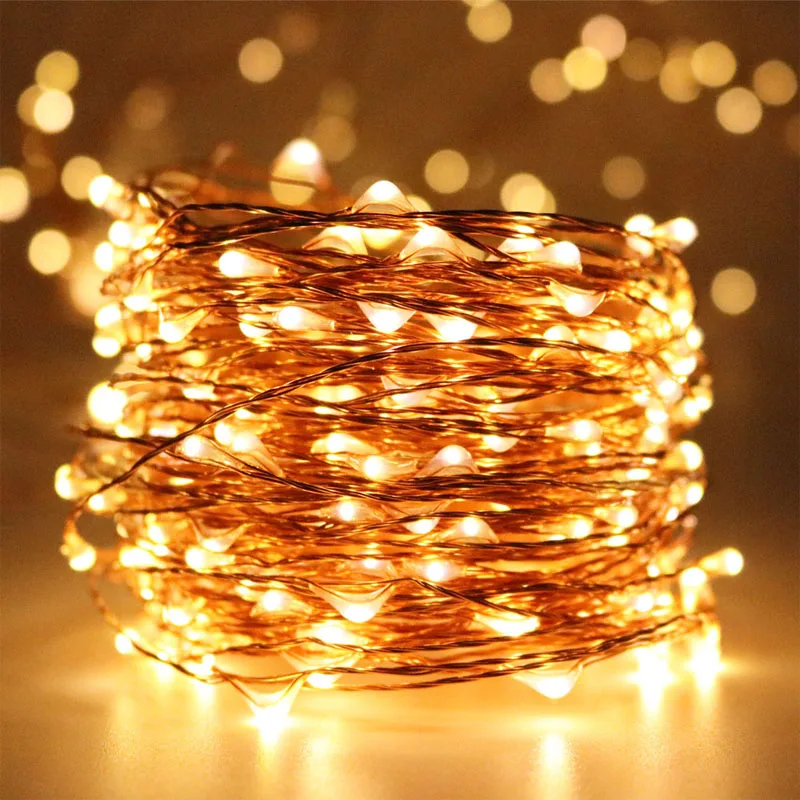 PI для Rui 10 м 2 провода с большим светодиодный|fairy string lights|string lightsstring lights decor |