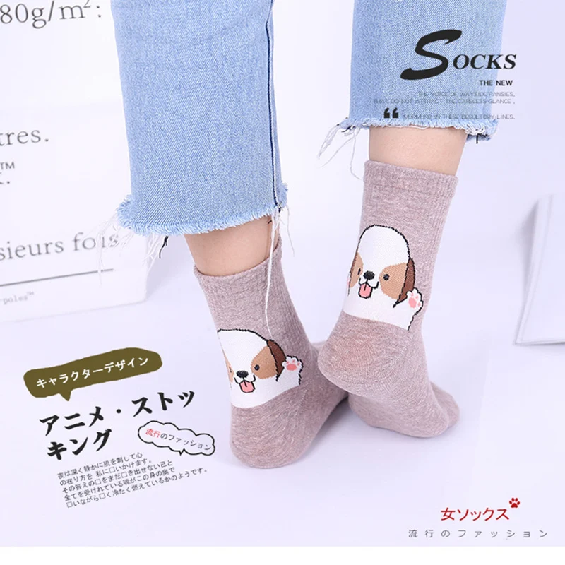 SP & CITY 5 пар женские Мультяшные забавные носки для животных милые хлопковые