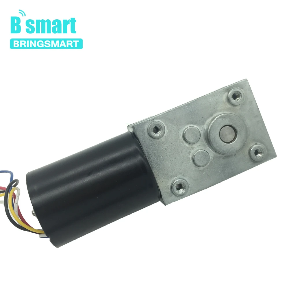 Bringsmart бесщеточный червячный мотор-редуктор постоянного тока 5840-3650 DC 12 В 24 В BLDC с самоблокирующимся тормозным редуктором коробка 8-470 об/мин Электрический двигатель