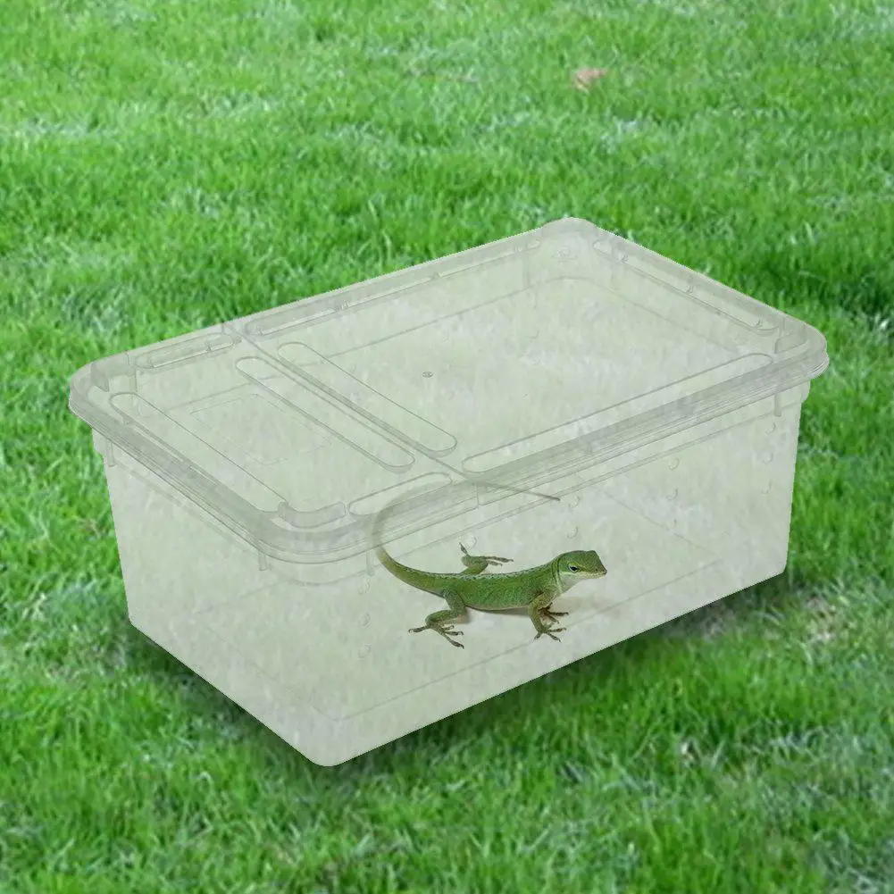 Высокое качество Reptilian короб Escape proof прозрачный Паук Рог лягушка черепаха змея