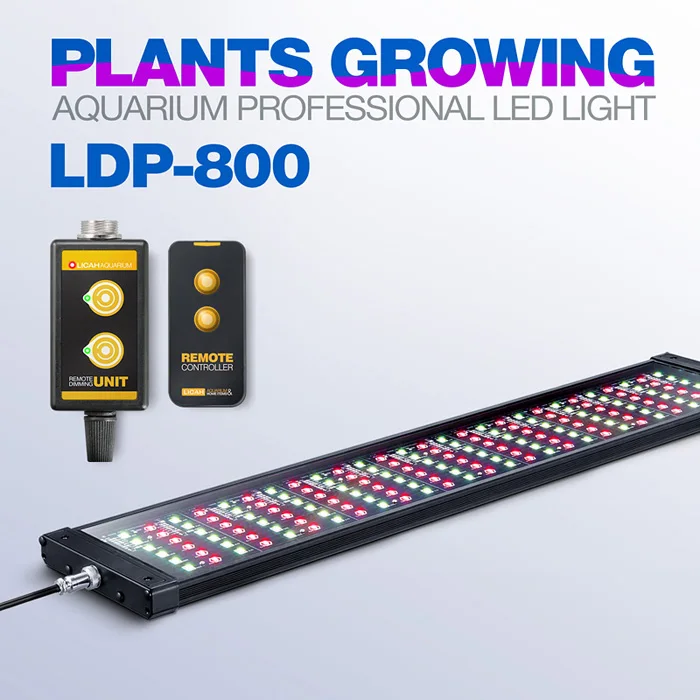 Standard LICAH свежая вода аквариумное растение светодиодный светильник LDP-800 - Цвет: Standard