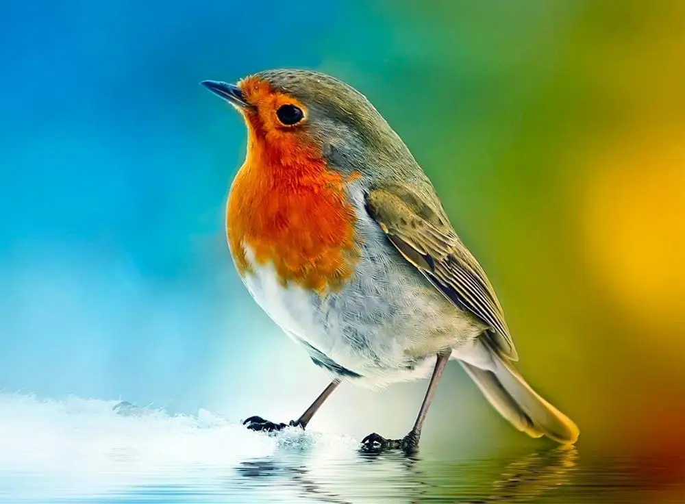 Мультяшная красивая девушка полностью квадратная Алмазная картина