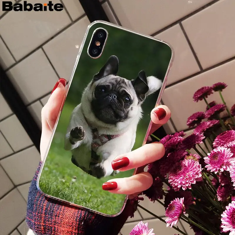 Babaite милый мопс Роскошный Уникальный Дизайн чехол для телефона для iPhone 6S 6plus 7plus 8 8Plus X Xs MAX 5 5S XR
