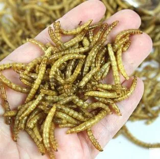 Сушеные Mealworms для аквариумных рыб корма рептилия, черепаха-Хомяк дикая птица корм для домашних животных