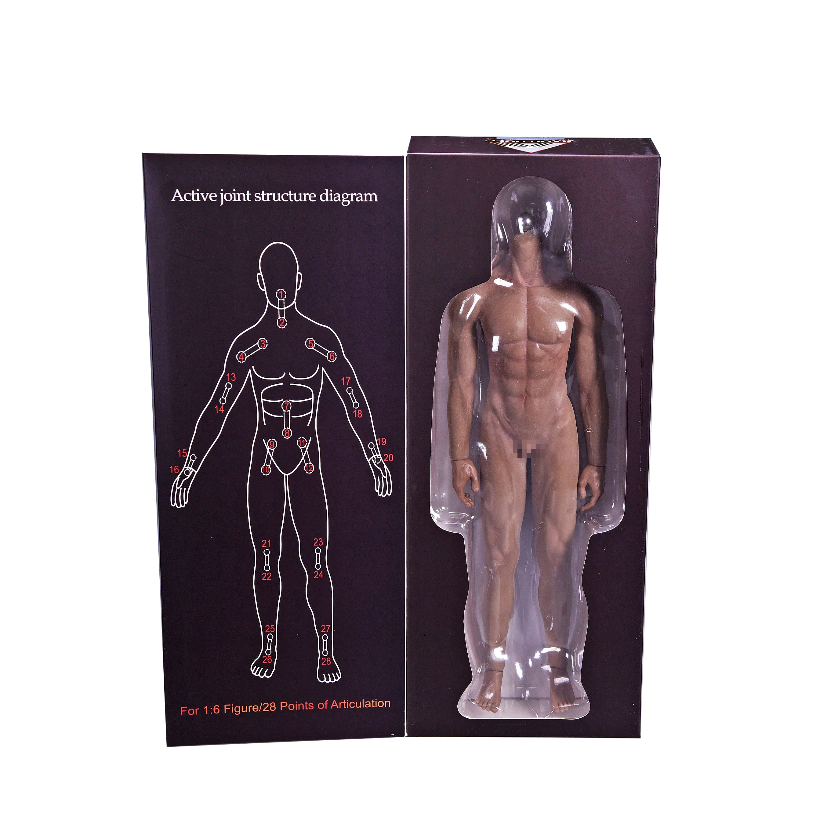 1/6 Scale 12''Ultra Flexible Muscular Male Seamless Body Stainlee Steel Skeleton Rubber Human-like Skin Bodies for 1/6 Head
