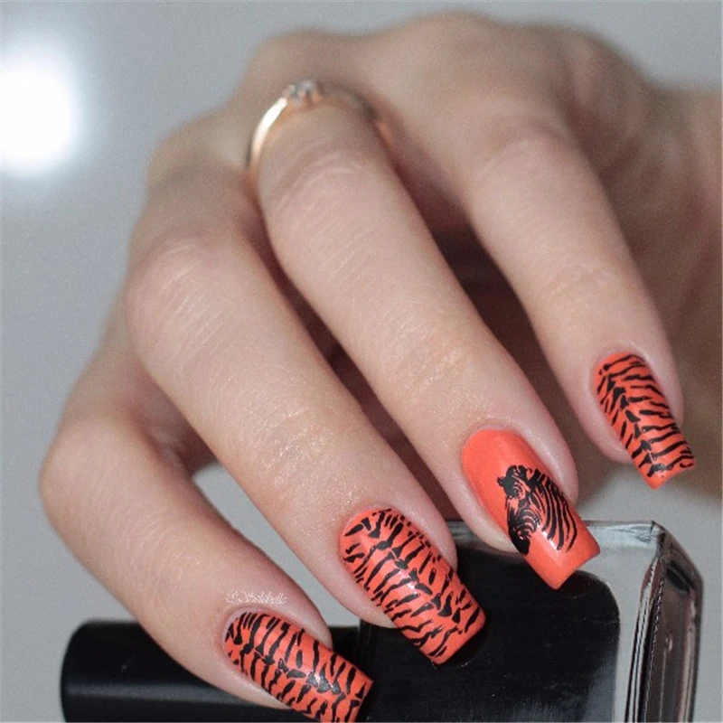 BORN PRETTY Zebra Wolf с узорами животных дизайн ногтей штамп рисунок пластина для печати