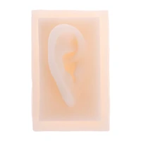 human soft silicone right ear model life size with grate helpful teaching and learning tool