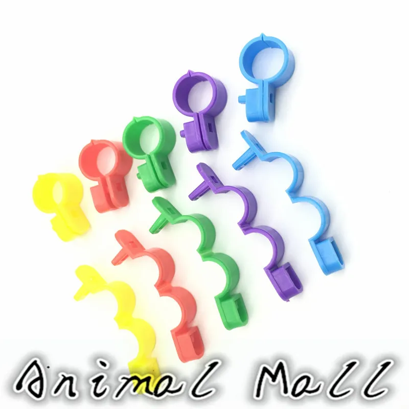 50 шт. 5 цветов кольцо окры с формулой открытия для ног птицы перепелок попугая