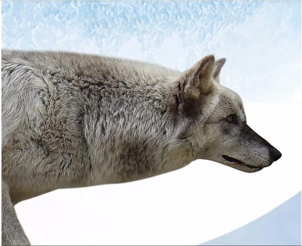 3d обои на заказ фотообои с изображением полнолунной ночи гор Луны волка