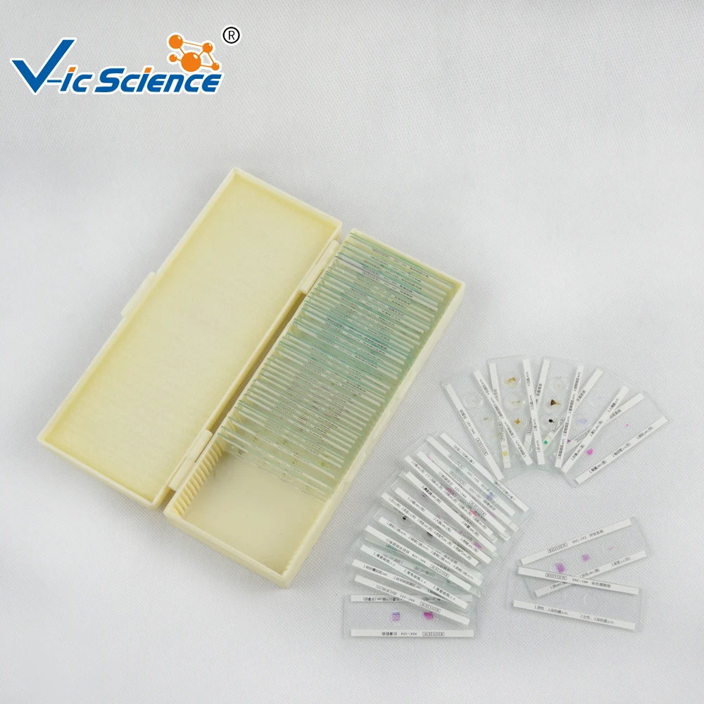 Набор лечебных слайдов с грибками 12 шт.